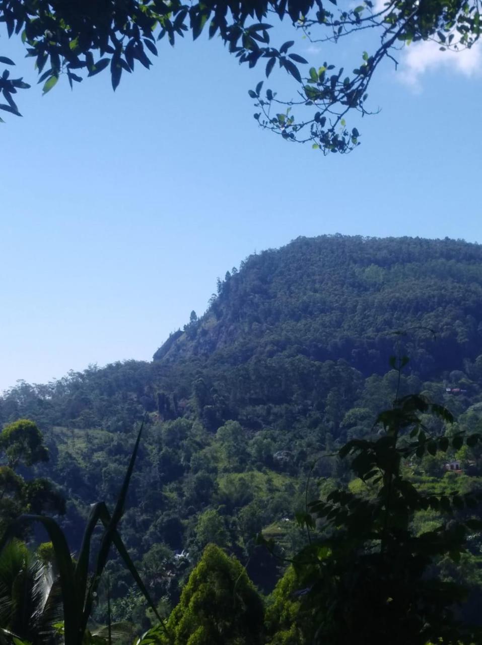 Himansa Homestay Ella Εξωτερικό φωτογραφία
