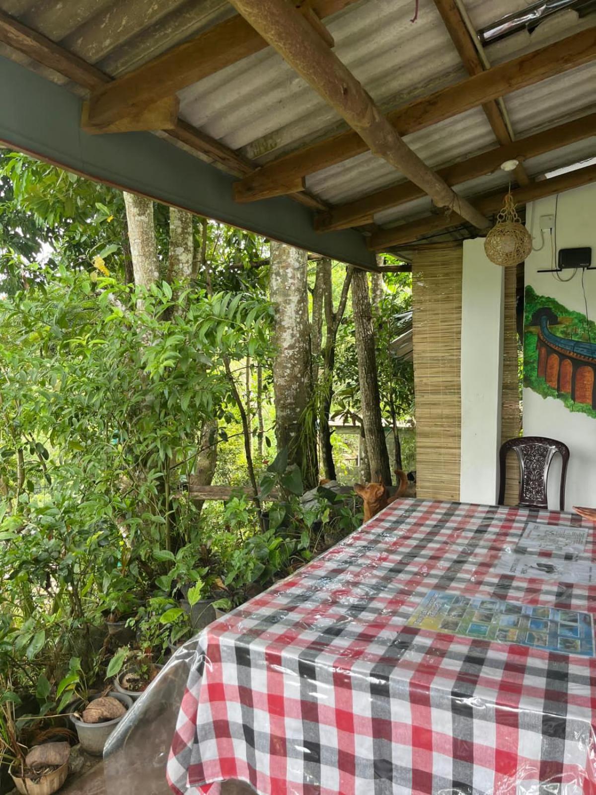Himansa Homestay Ella Εξωτερικό φωτογραφία