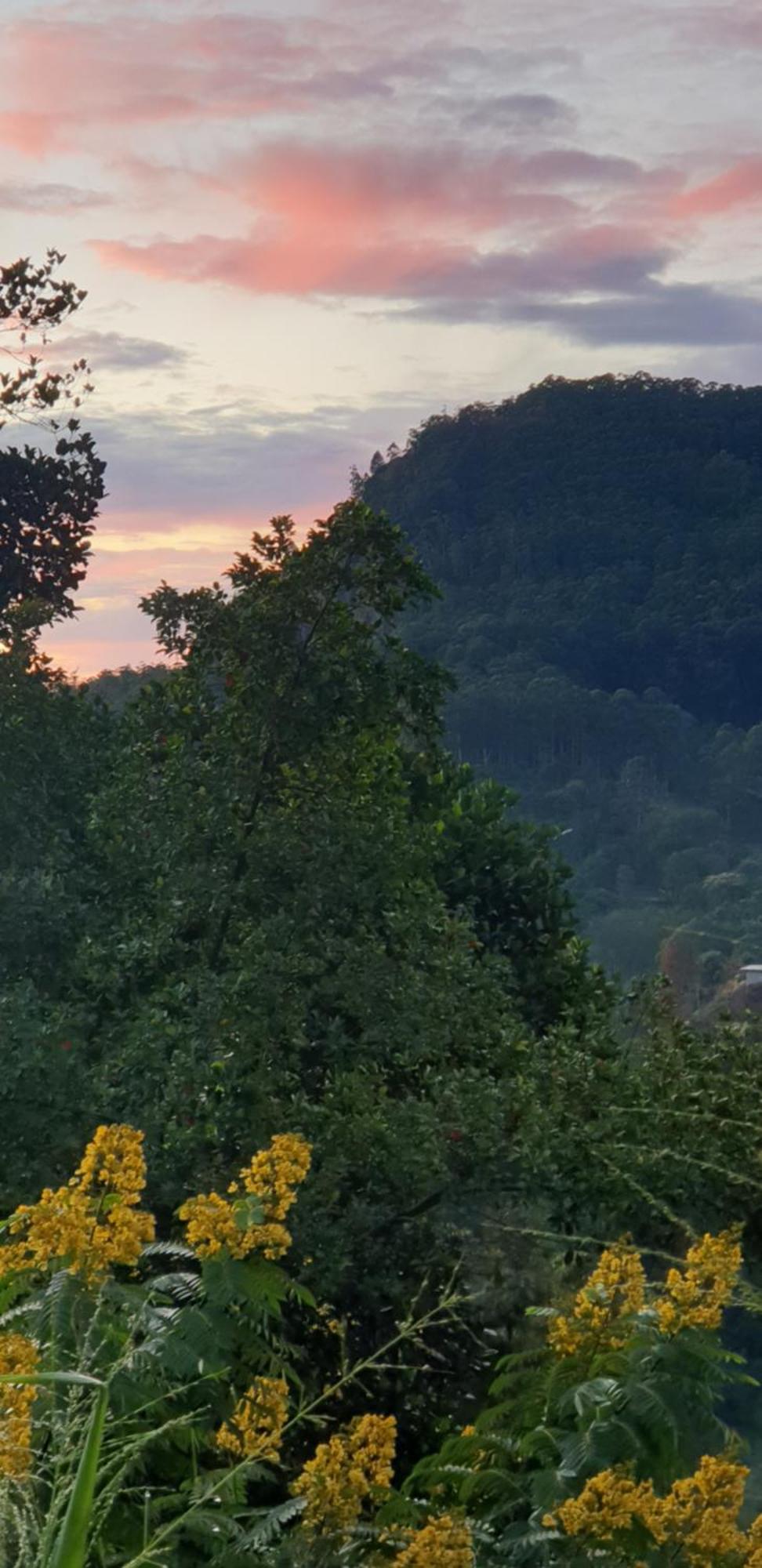 Himansa Homestay Ella Εξωτερικό φωτογραφία