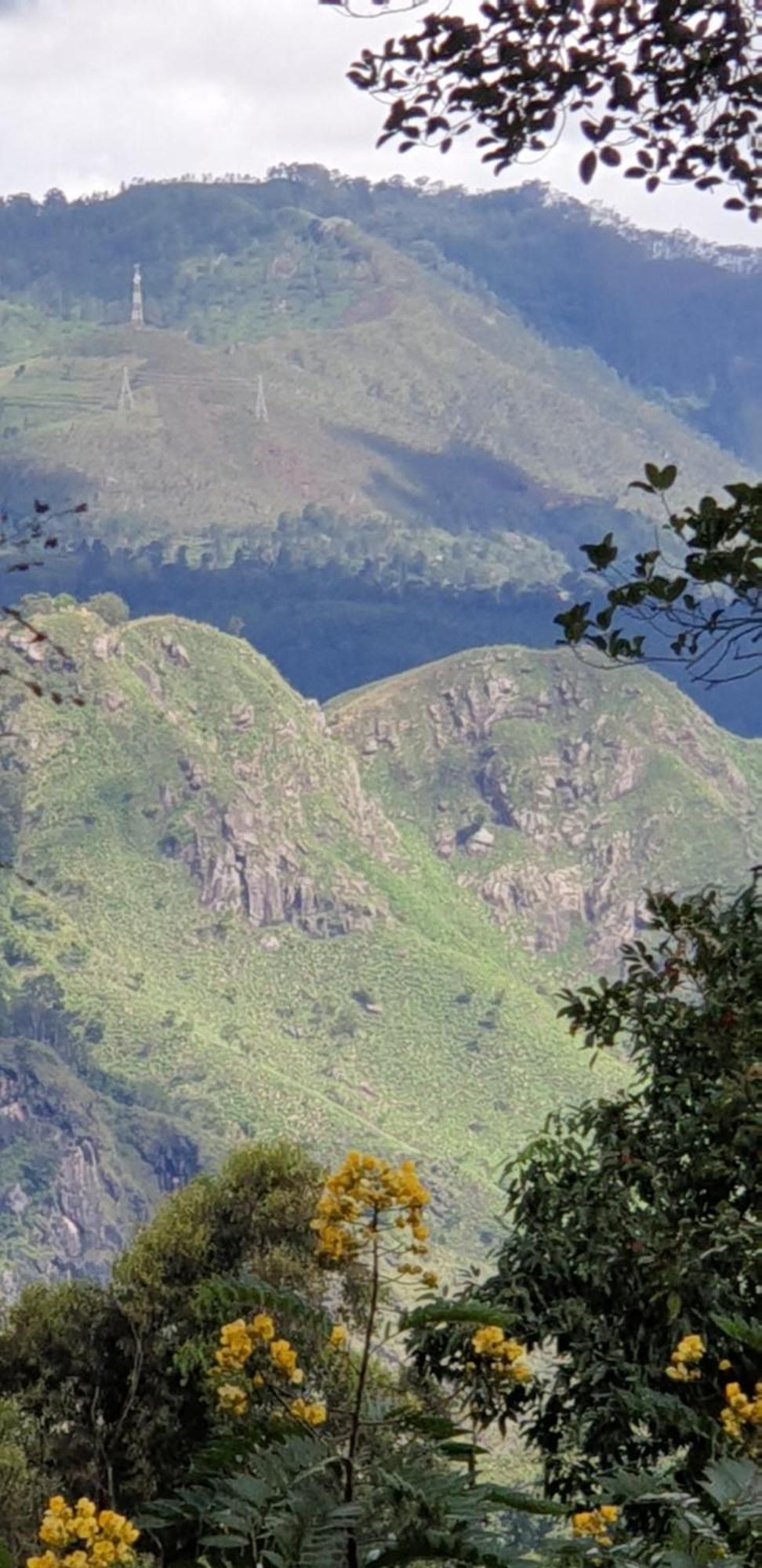 Himansa Homestay Ella Εξωτερικό φωτογραφία